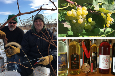 Meet the Winemakers Part 2: Patrick Barrelet 