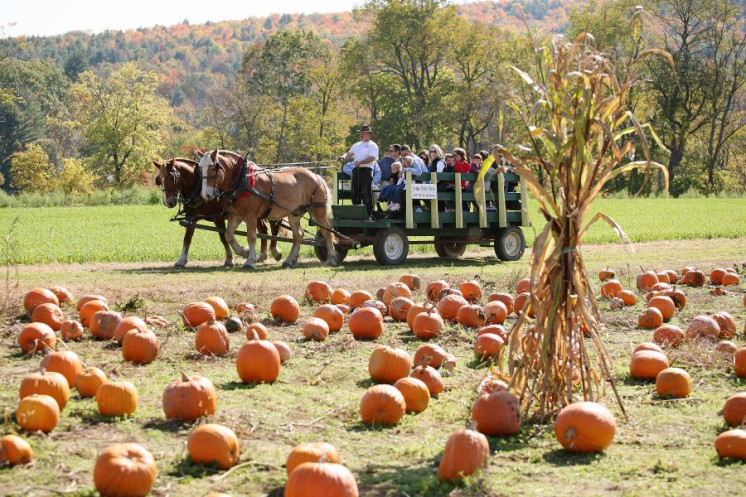 Family Circle Farms