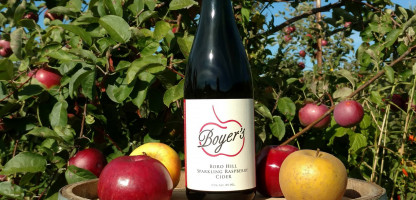 Meet the Maker: Boyer's Wine & Cider