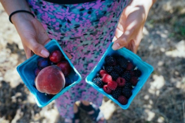 Fruit, Berry & Wild Plant Tour at The Farm Between - Sterling College | Open Farm Week 2021