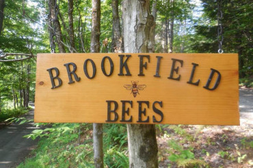 Brookfield Bees