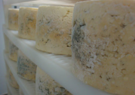 Green Mountain Blue Cheese and Boucher Family Farm
