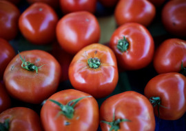Ludlow Farmers Market