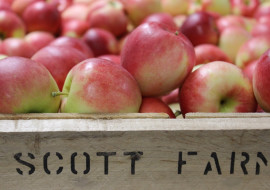 Scott Farm Orchard and Market