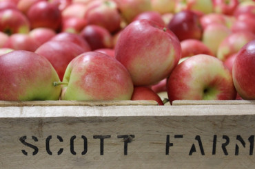Scott Farm Orchard and Market
