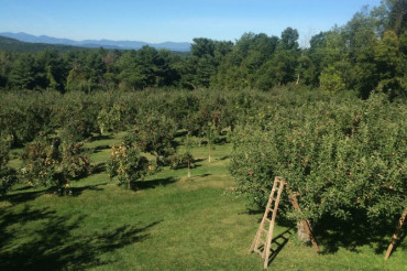 Yates Family Orchard