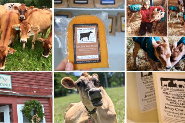 Meet the Dairy Farmers: Cedar Mountain Farm