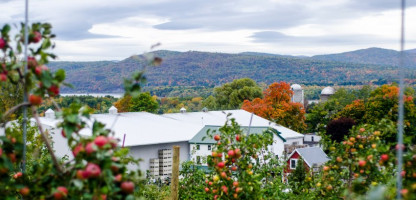 Meet the Grower: Champlain Orchards & Cidery