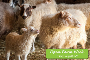 Open Farm Week Events: Friday