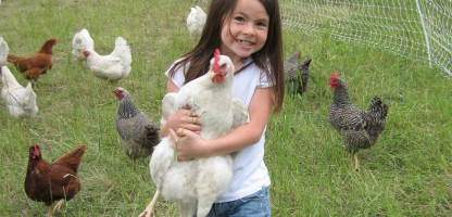 Vermont Open Farm Week: Fun for Kids