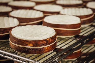 Cheddar: Everything You Wanted to Know About America's Favorite Cheese | Jasper Hill Farm