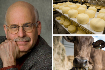 Talking Vermont Cheese with Jeffrey Roberts