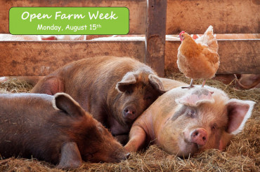 Open Farm Week Events: Monday
