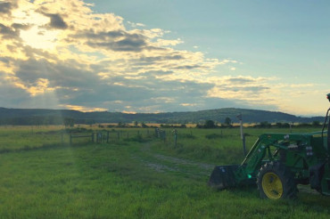 Celebrating 5 Years of Vermont Open Farm Week