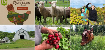 2021 Vermont Open Farm Week Preview