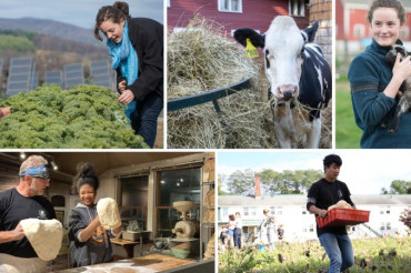 Meet the Dairy Farm: The Putney School’s Elm Lea Farm