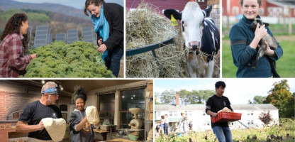 Meet the Dairy Farm: The Putney School’s Elm Lea Farm