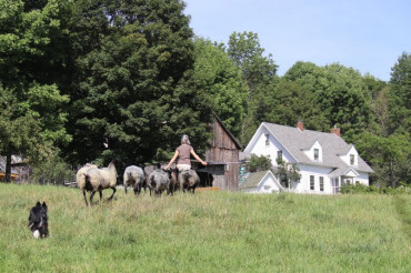 Meet the Farm Stay Host: Vermont Grand View Farm
