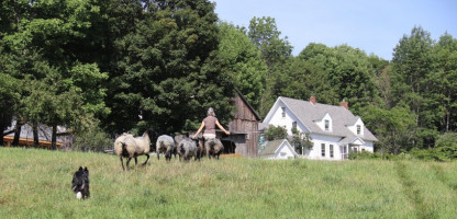 Meet the Farm Stay Host: Vermont Grand View Farm