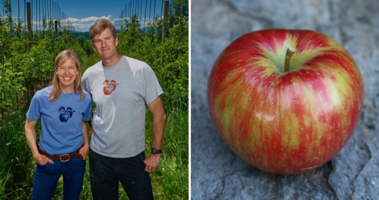 Meet the Grower: Sunrise Orchards