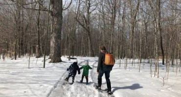 Winter Farm Trails in Vermont