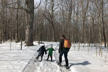 Winter Farm Trails in Vermont