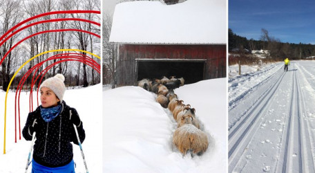 Winter Farm Trails in Vermont