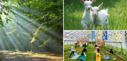 Vermont Open Farm Week 2021: Health & Wellness