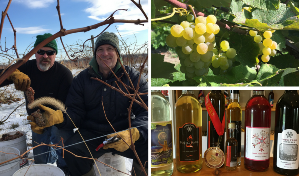 snow farm vineyard patrick barrellet david lane