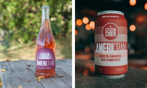 americran citizencider2