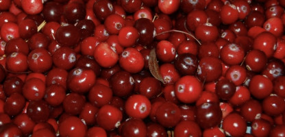 Vermont Cranberries Three Ways