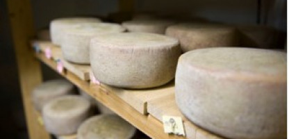 Celebrating Award-Winning Vermont Cheeses