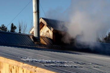Farnham Farm Maple Sugaring | Maple Open House Weekend