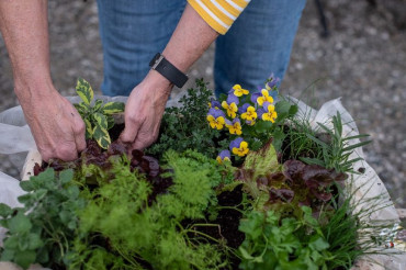 Make and Take Tuesday: Apple Crate Garden | Red Wagon Plants