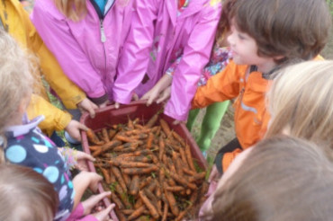 Harvest, Taste, Create & Play at Cedar Circle Farm & Education Center | Open Farm Week 2024