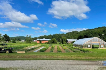 Chamberlin's Farm Store GRAND Re-Opening and Farm Tour | Open Farm Week 2024