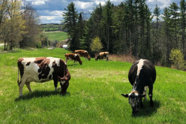 Raw Milk & Cookies: Tour a Micro-Dairy at Sunday Bell Farm | Open Farm Week 2022