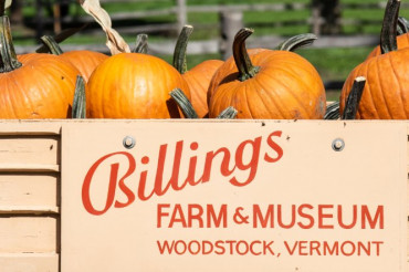 Harvest at the Farm | Billings Farm