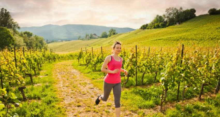 Island Vines 5k Running Race in Vt: RunVermont