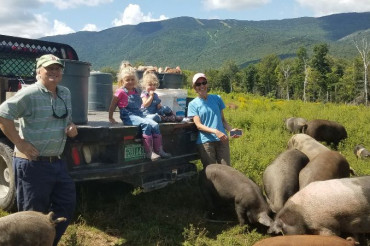 Feeding Pigs at von Trapp Farmstead | Open Farm Week 2022