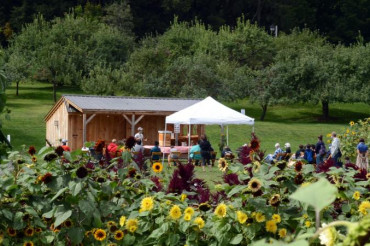 6th Annual Sunflower House of Billings Farm & Museum | Open Farm Week 2024