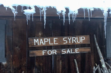 Bragg Farm Sugarhouse Tours | The Maple 100