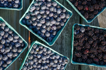 The Vermont Blueberry Festival at Deerfield Valley