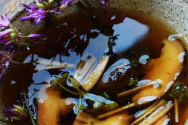Traditional and Wildcrafted Lacto-Fermentation Workshop with Pascal Baudar | Sterling College