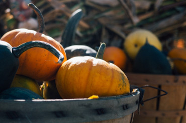 Enosburg Harvest Festival