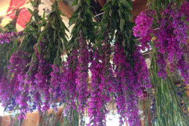 Farm Tour & Open House at Lightfoot Farm | Open Farm Week 2021