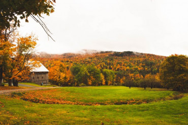 Webinar: Managing Forests for Carbon and Climate Change | City Market