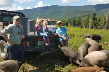 Feeding Pigs at Von Trapp Farmstead | Open Farm Week 2021