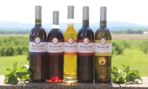 maquam wine