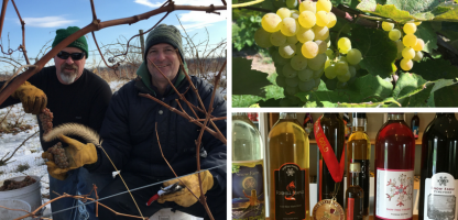 Meet the Winemakers Part 2: Patrick Barrelet 